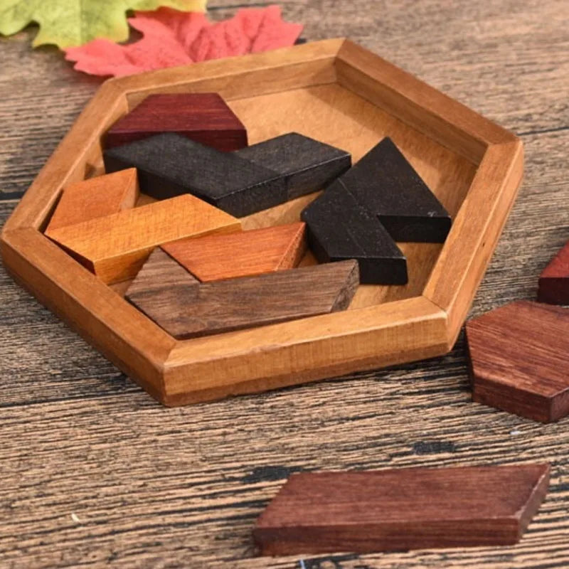 Hexagonal Wooden Puzzles IQ Game