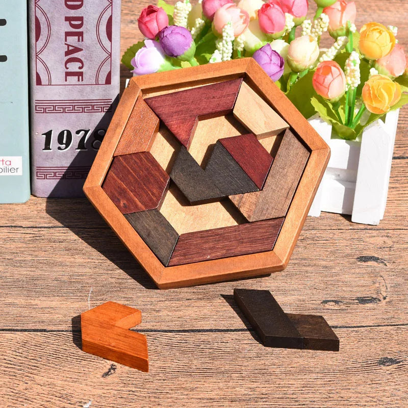 Hexagonal Wooden Puzzles IQ Game