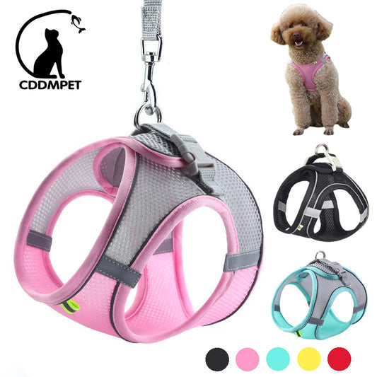 Dog Harness for Small Dogs